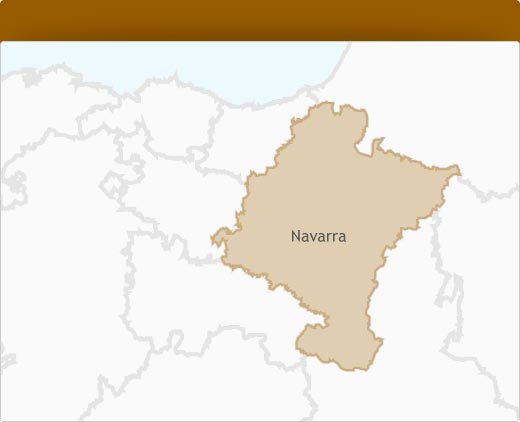 provincias y pueblos de navarra
